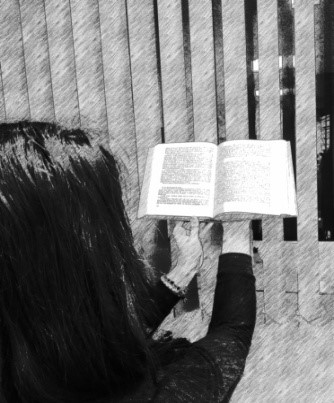 Biblio 2018